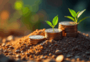 Como Evitar Erros Comuns Ao Investir